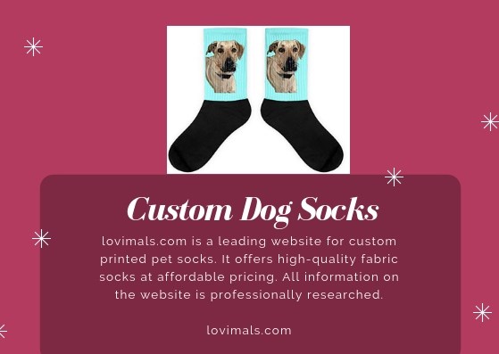 lovimals: lovimals