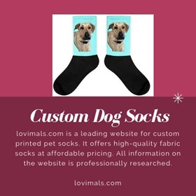 lovimals: lovimals